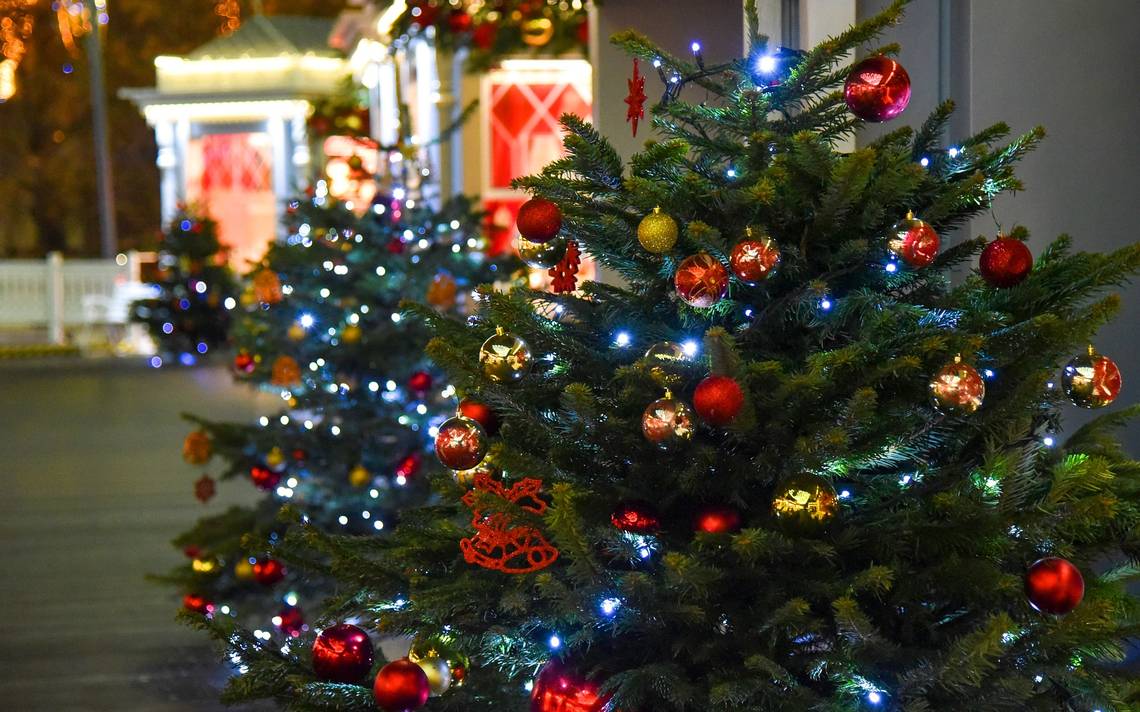 Árbol De Navidad Natural O Artificial ¿cuál Es Más Amigable Con El Medio Ambiente El Sol De